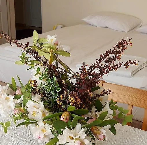 ゲストハウス Boja レバル